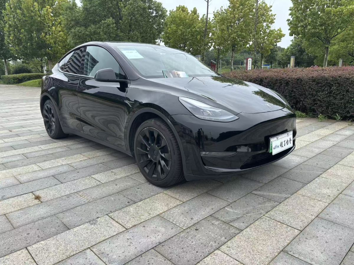 Tesla Model Y 2021 car image #3