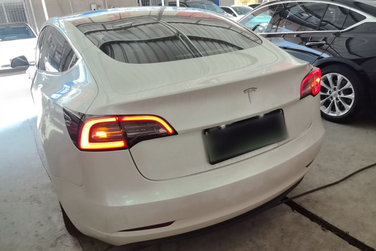 Tesla Model 3 2020 immagine di auto #6