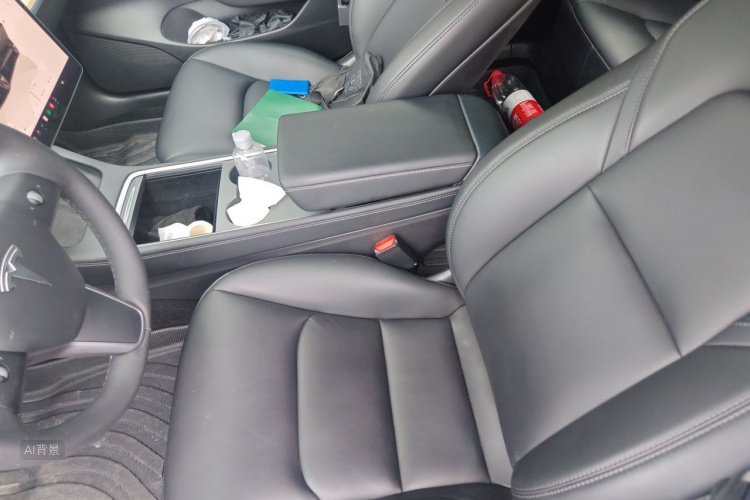 Tesla Model 3 2022 immagine di auto #17