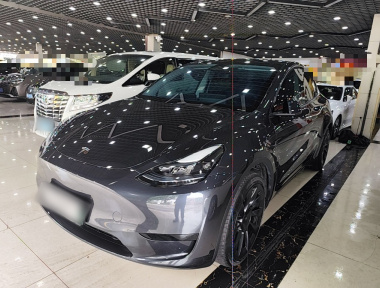 Tesla Model Y 2024 Tesla Model Y 2024 car image