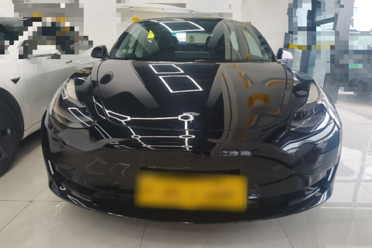 Tesla Model 3 2021 car image #3