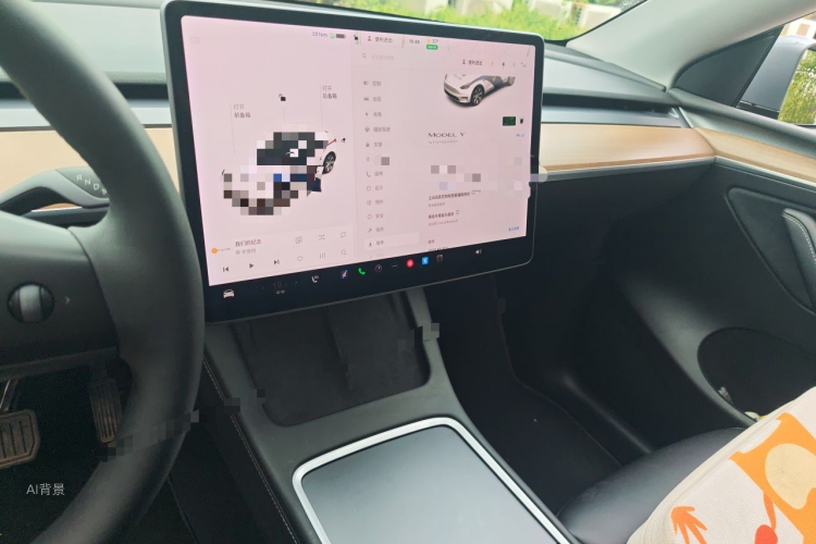 Tesla Model Y 2021 #15 Tesla Model Y 2021 car image #15