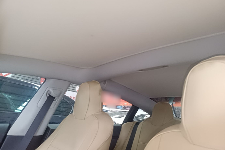 Tesla Model 3 2022 car image #18