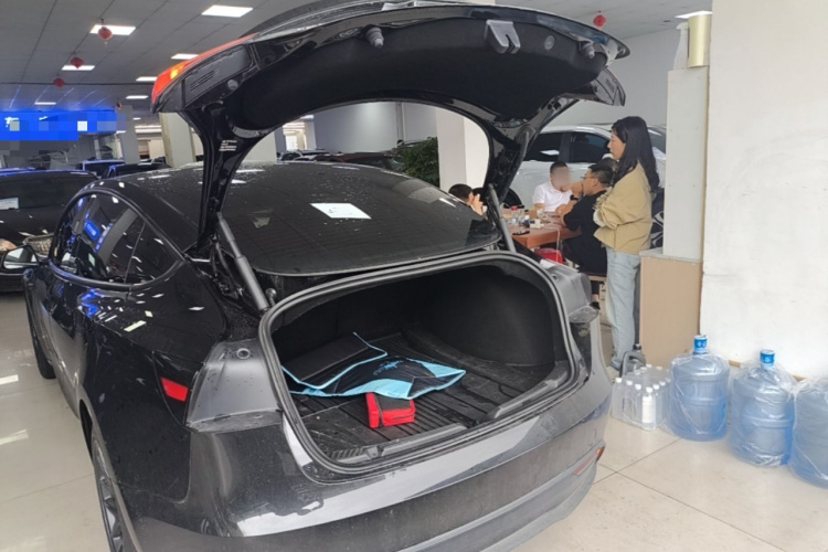 Tesla Model 3 2025 immagine di auto #19