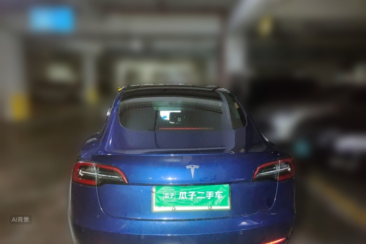 Tesla Model 3 2020 car image #6