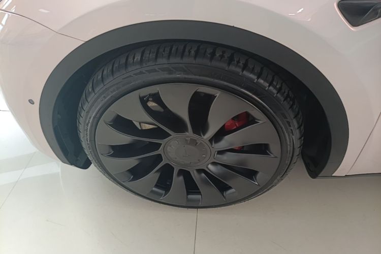Tesla Model Y 2021 car image #9