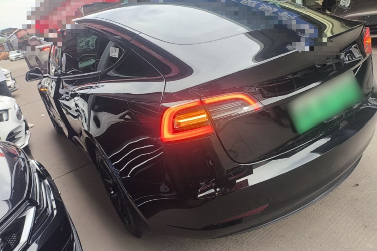 Tesla Model 3 2021 #5 Tesla Model 3 2021 car image #5