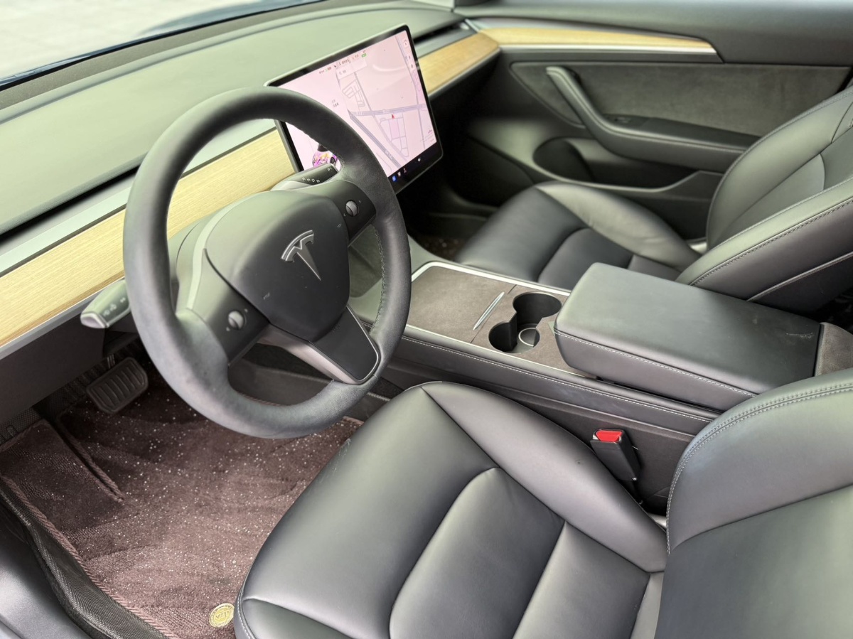 Tesla Model 3 2021 car image #3