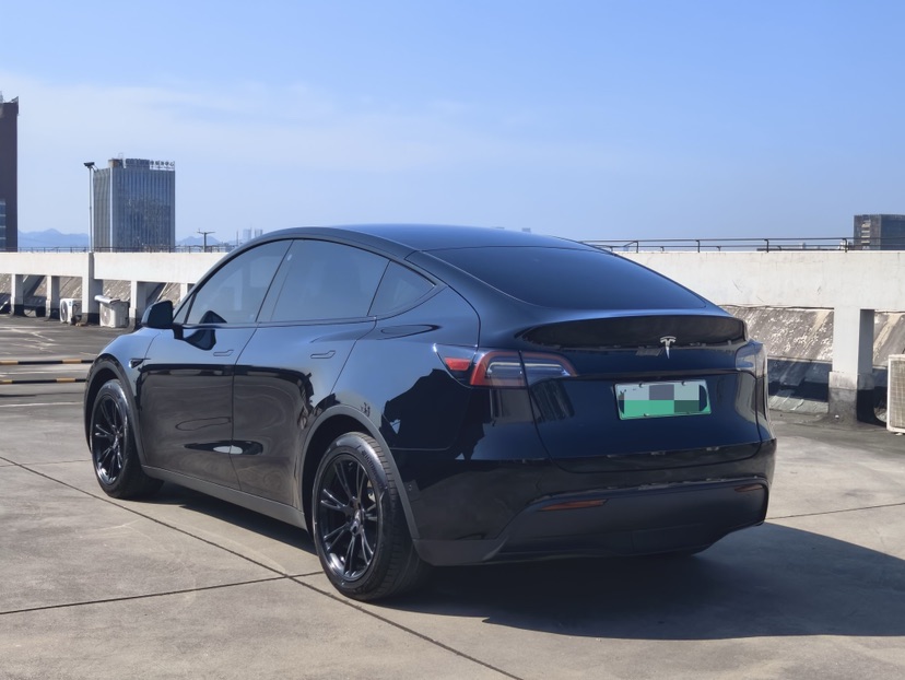 Tesla Model Y 2021 car image #4