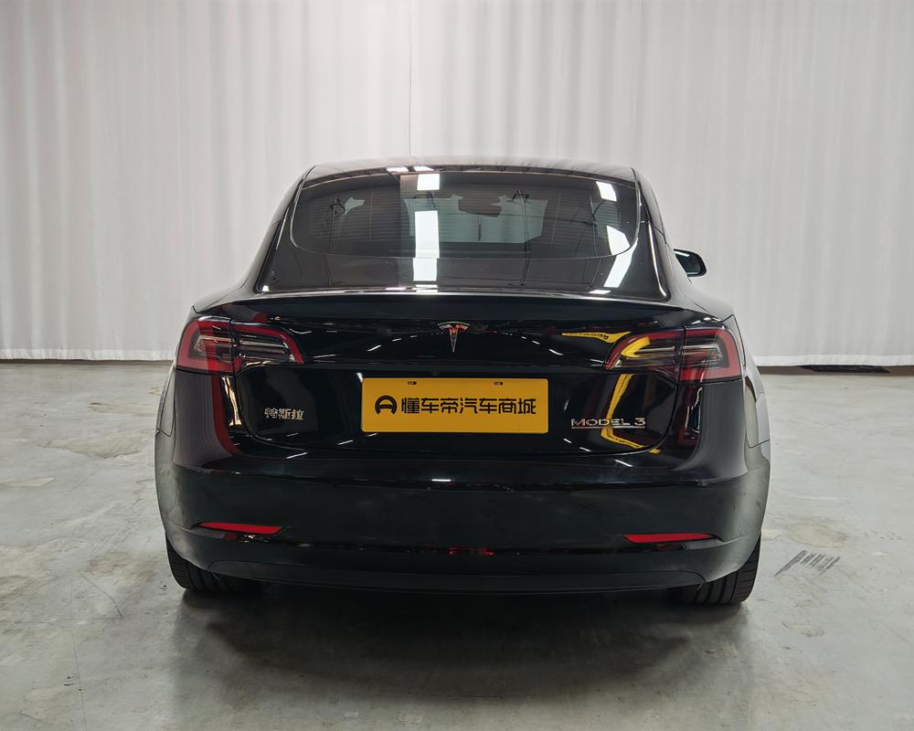 Tesla Model 3 2022 #6 Tesla Model 3 2022 car image #6