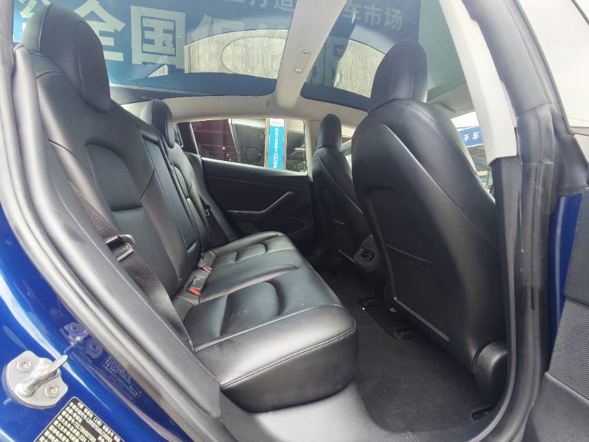 Tesla Model 3 2021 car image #12