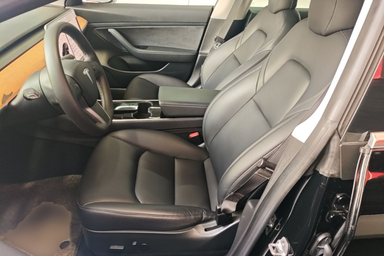 Tesla Model 3 2020 car image #15