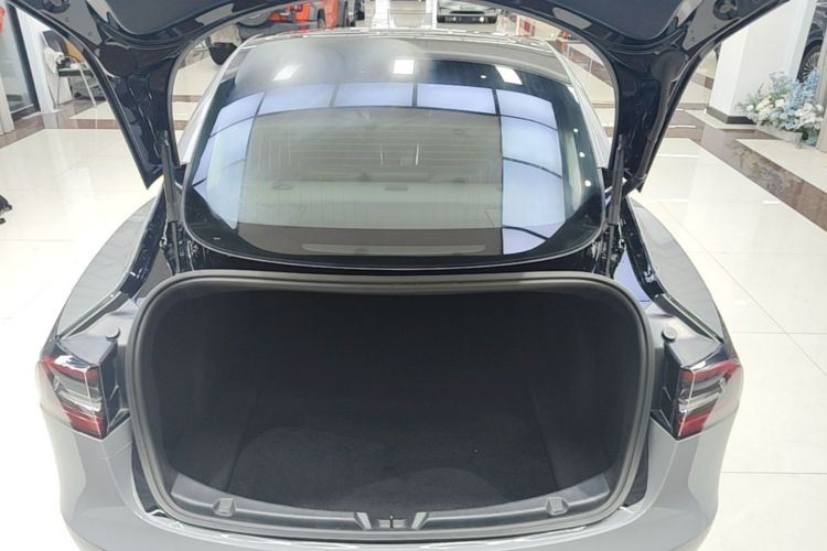 Tesla Model 3 2020 car image #22
