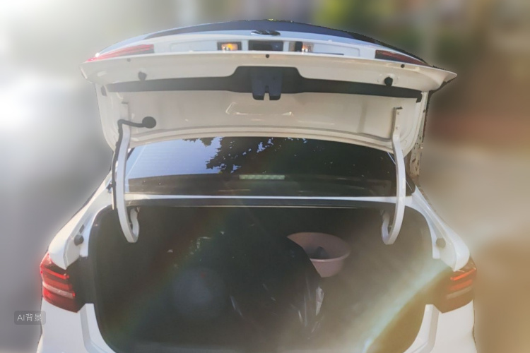 Volkswagen Lavida 2021 car image #21