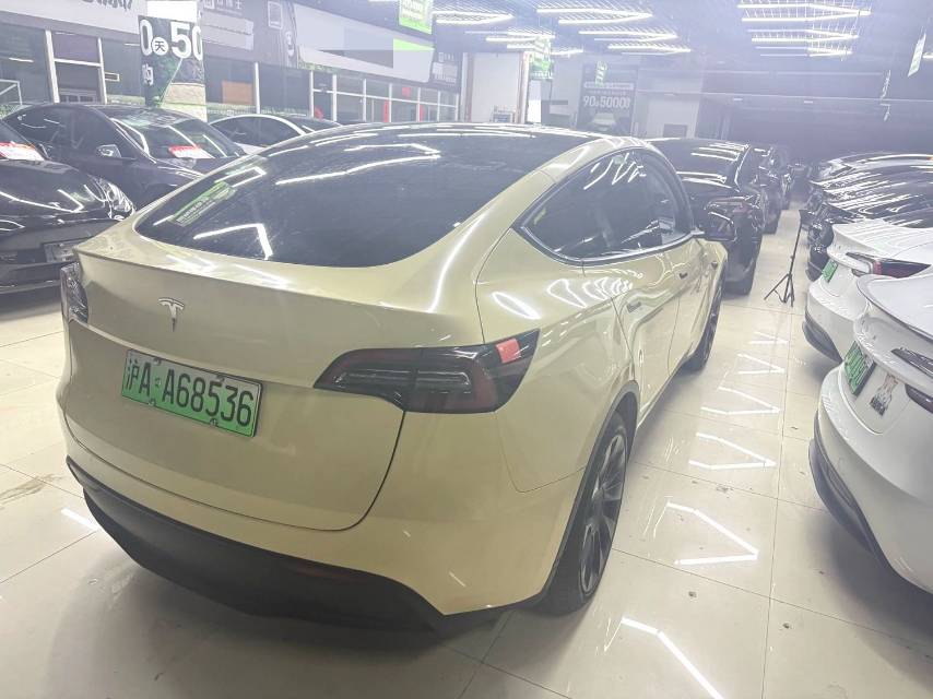 Tesla Model Y 2021 صورة سيارة #6