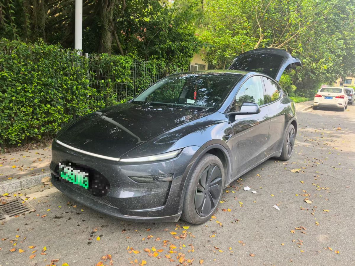 Tesla Model Y 2025 Tesla Model Y 2025 car image