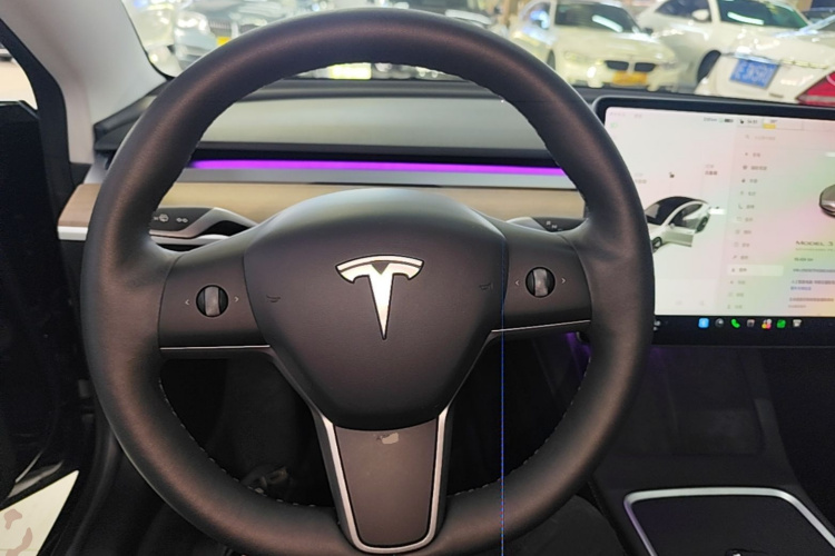 Tesla Model 3 2021 #11 Tesla Model 3 2021 car image #11