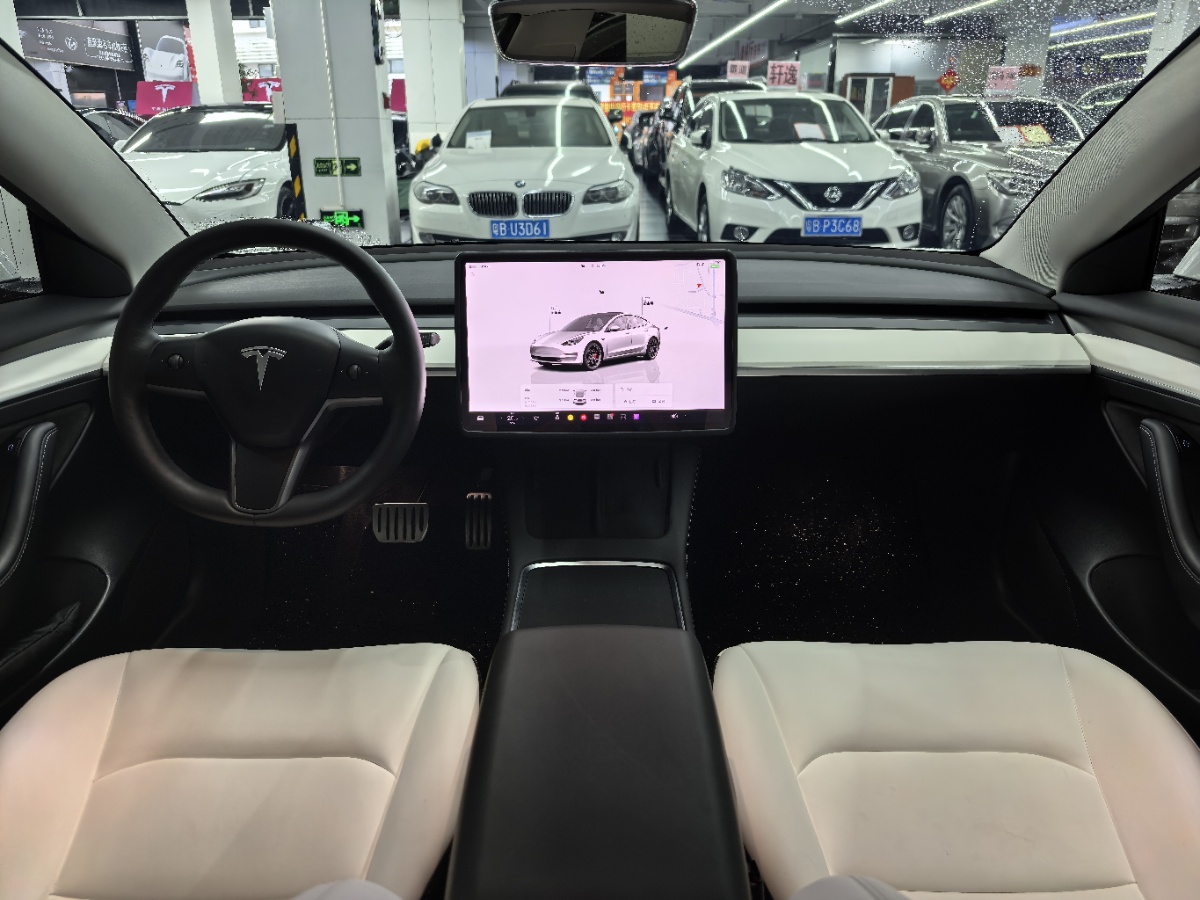 Tesla Model 3 2022 #6 Tesla Model 3 2022 car image #6