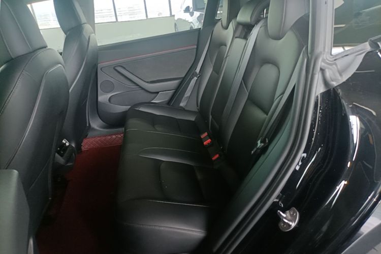 Tesla Model 3 2021 car image #17