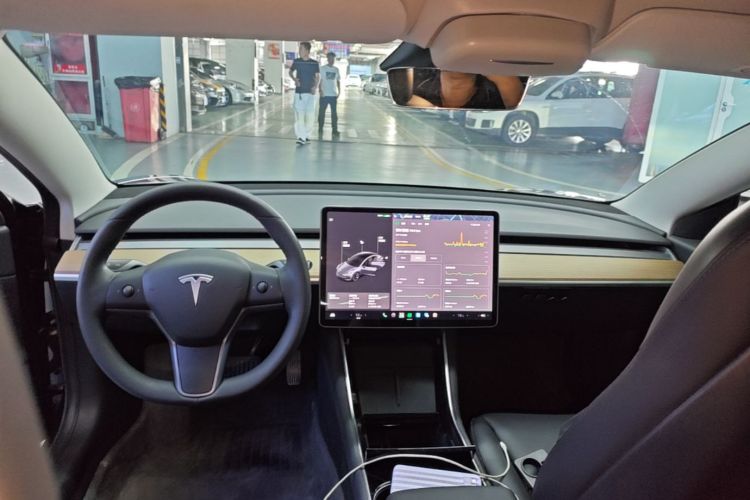 Tesla Model 3 2020 car image #10