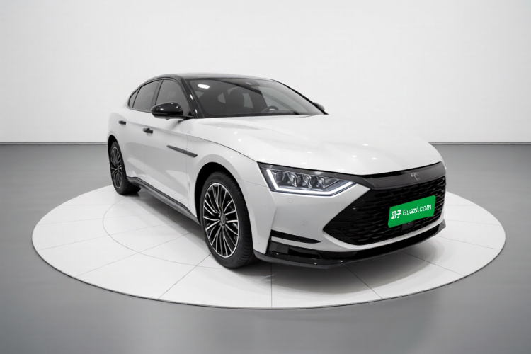 BYD Han 2021 immagine di auto #4