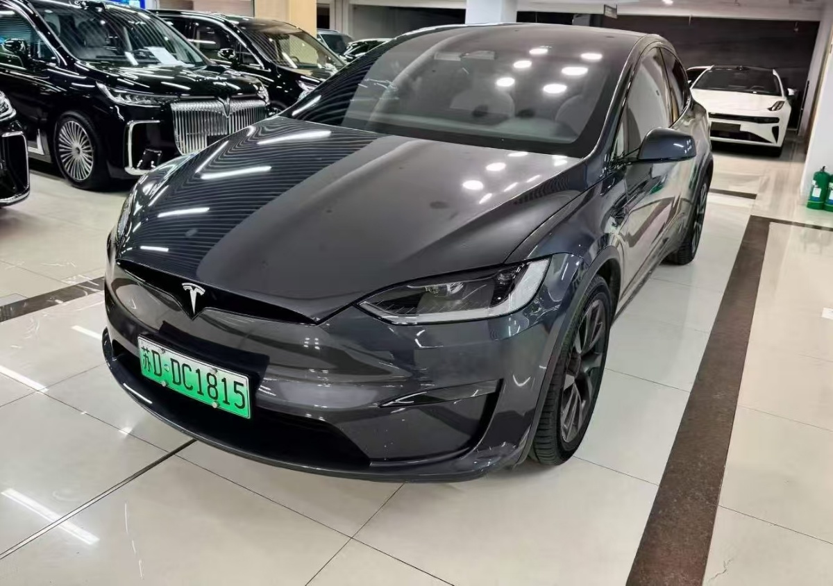 Tesla Model X 2023 car image 