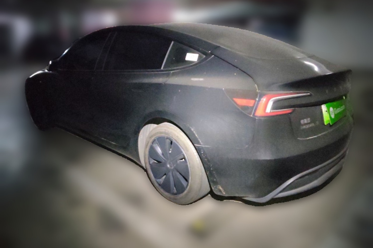 Tesla Model 3 2023 #5 Tesla Model 3 2023 car image #5