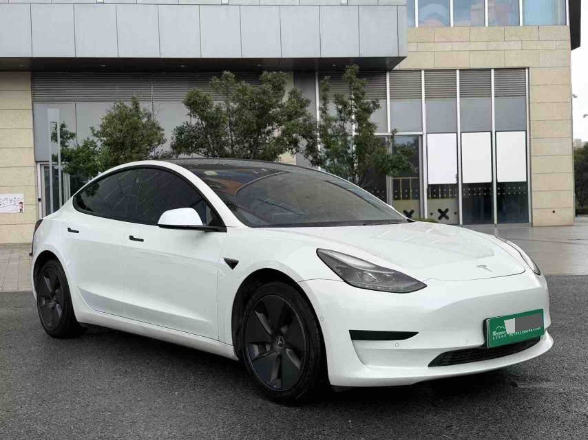 Tesla Model 3 2021 #2 Tesla Model 3 2021 car image #2