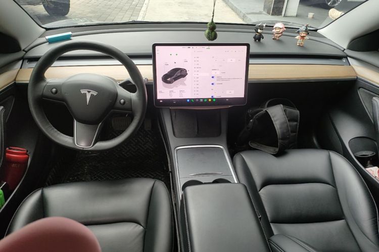 Tesla Model 3 2023 #10 Tesla Model 3 2023 car image #10