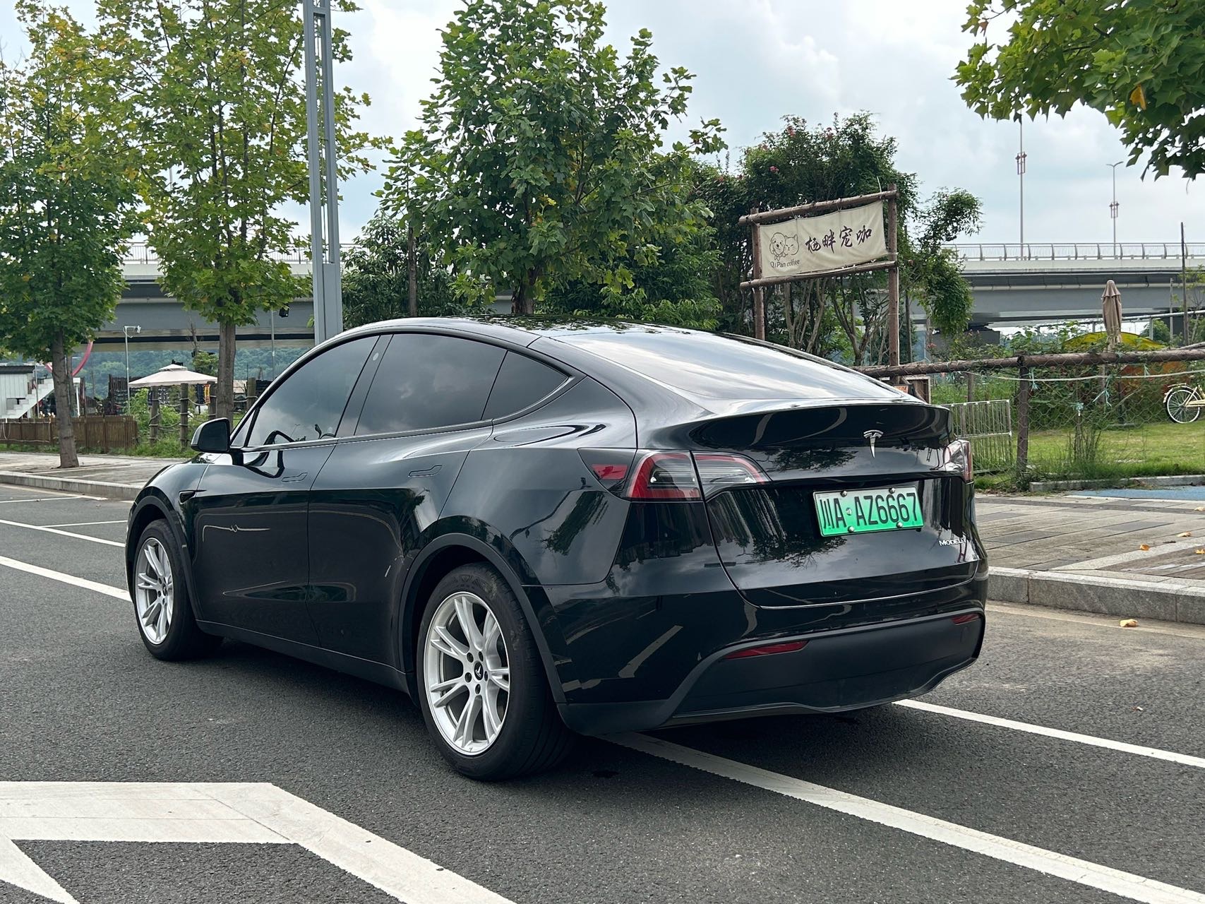 Tesla Model Y 2023 car image #6