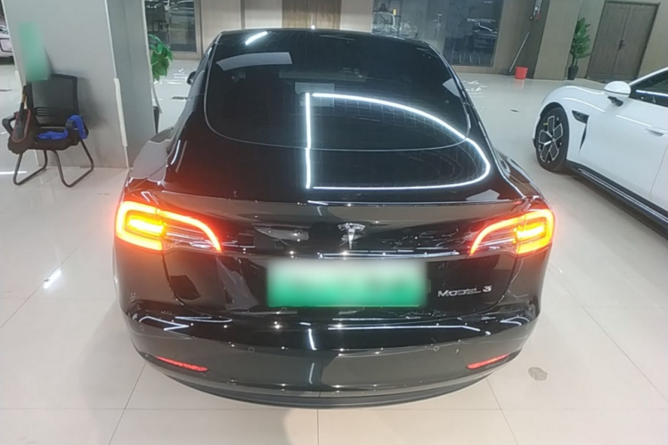 Tesla Model 3 2022 car image #6