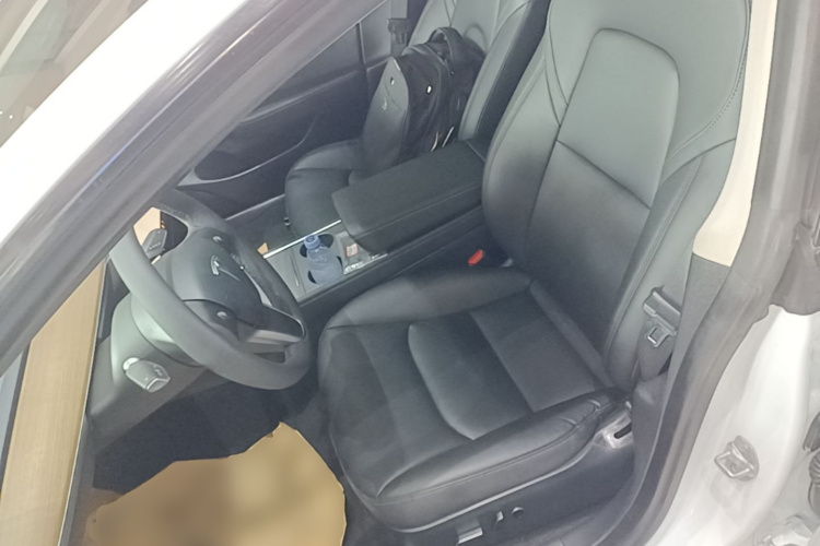 Tesla Model 3 2021 #15 Tesla Model 3 2021 car image #15