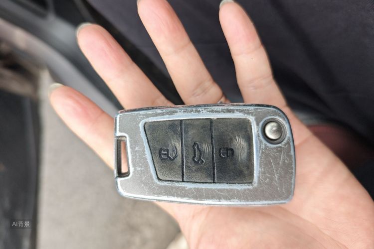 Volkswagen Bora 2020 image de voiture #10