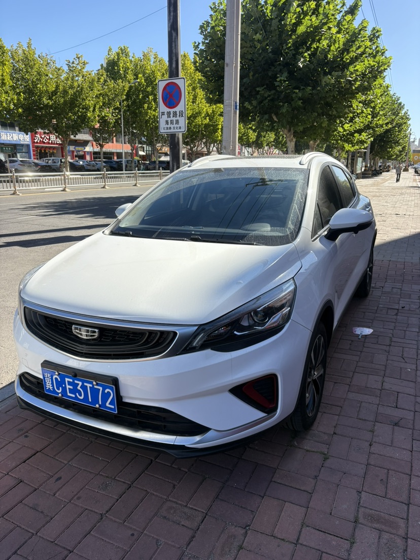 GEELY Emgrand GS 2021 car image 