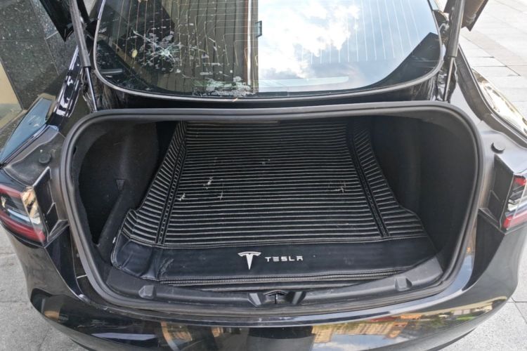 Tesla Model 3 2020 car image #19