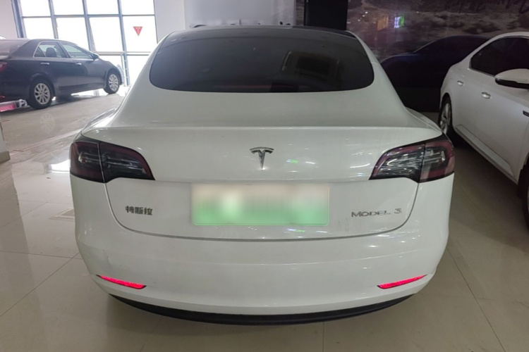 Tesla Model 3 2021 #6 Tesla Model 3 2021 car image #6