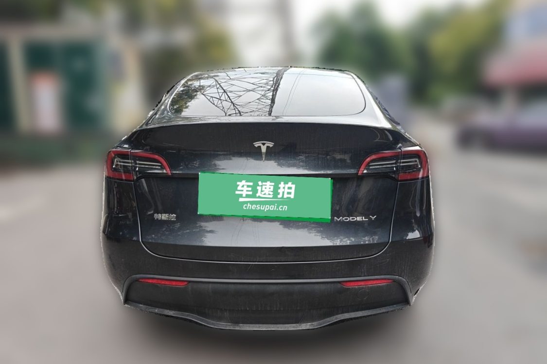 Tesla Model Y 2024 car image #6