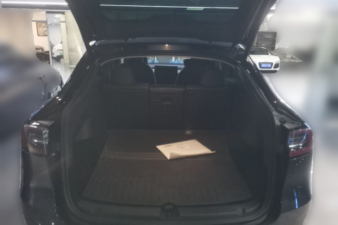 Tesla Model Y 2024 car image #10