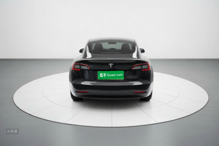 Tesla Model 3 2021 car image #6