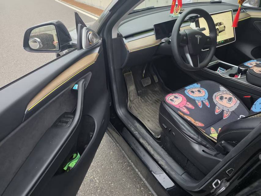Tesla Model Y 2022 #3 Tesla Model Y 2022 car image #3