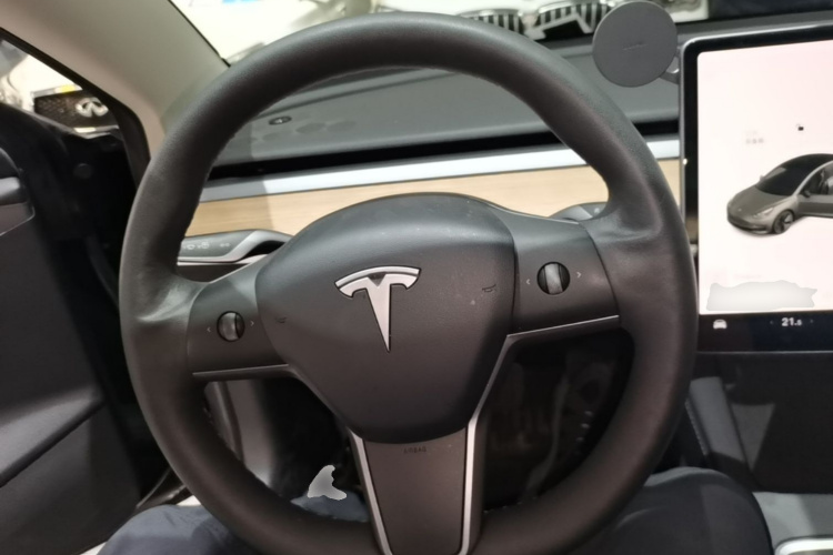 Tesla Model 3 2021 car image #11