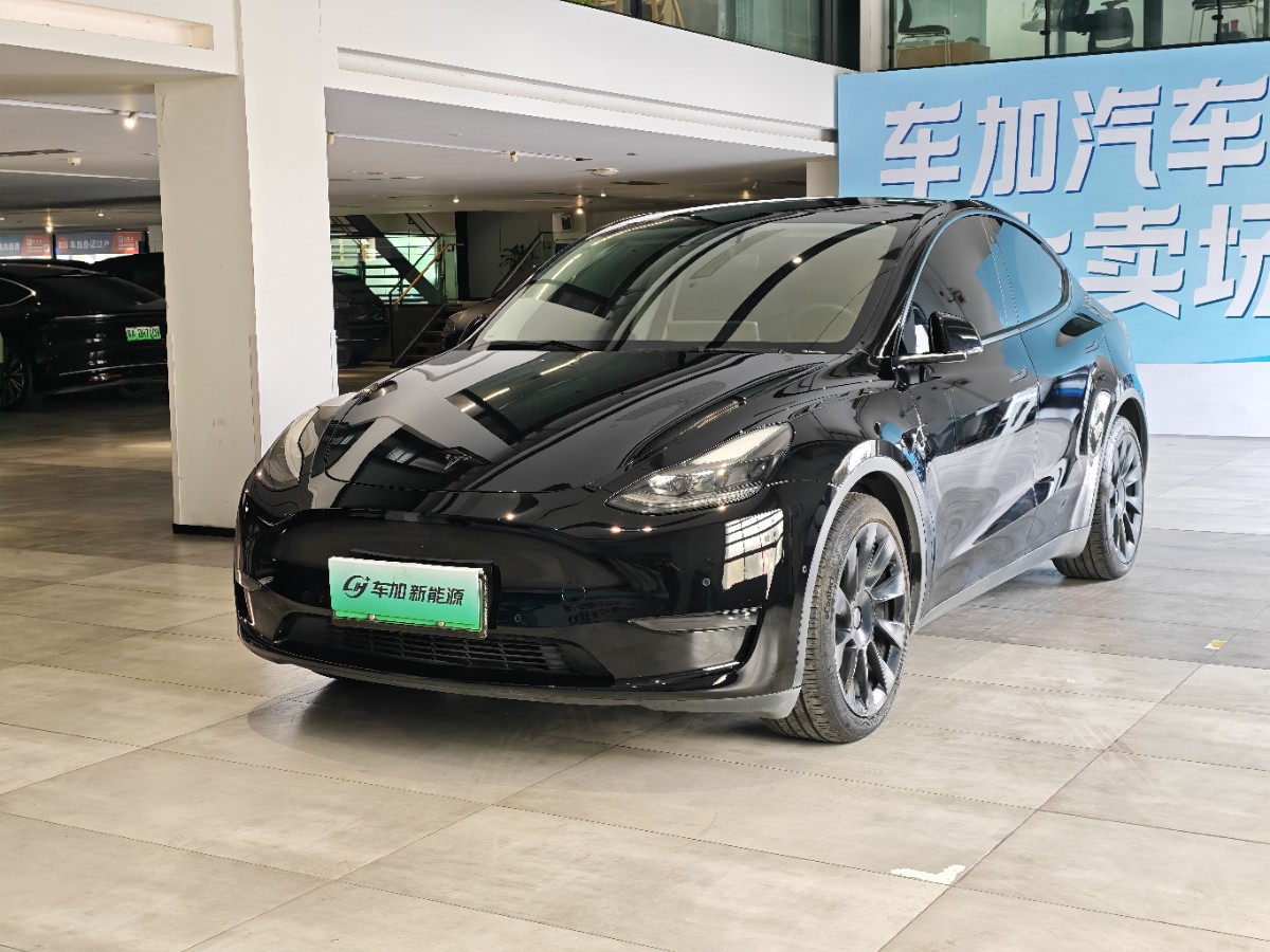 Tesla Model Y 2021 Tesla Model Y 2021 car image