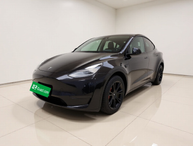 Tesla Model Y 2021 Tesla Model Y 2021 car image
