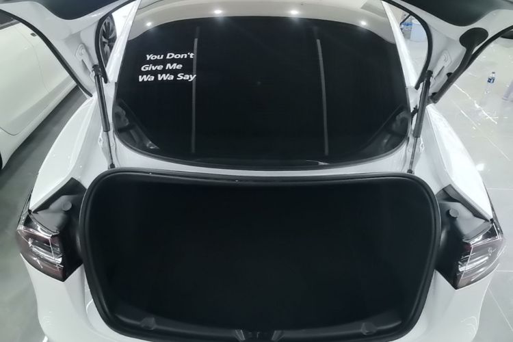 Tesla Model 3 2020 car image #19