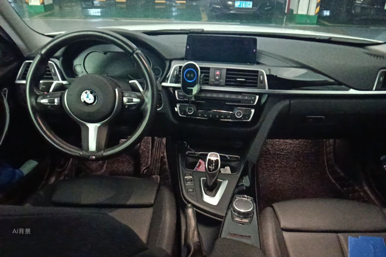 BMW 3 Series 2017 car image #11