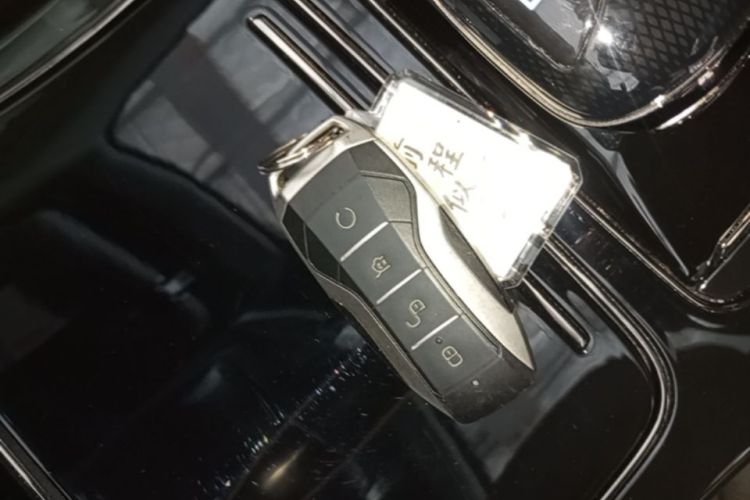 BYD Han 2021 car image #9