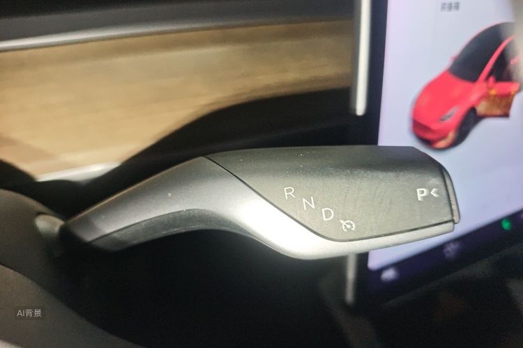 Tesla Model Y 2021 car image #16