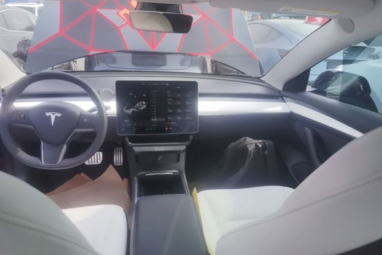 Tesla Model 3 2021 #13 Tesla Model 3 2021 car image #13