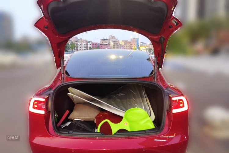 Tesla Model 3 2020 immagine di auto #21