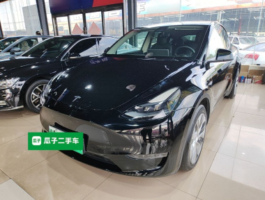Tesla Model Y 2021 immagine di auto 